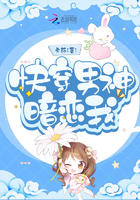 我给女神当赘婿全集命运在我手