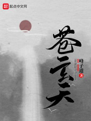 玄幻小说男主叫苍天