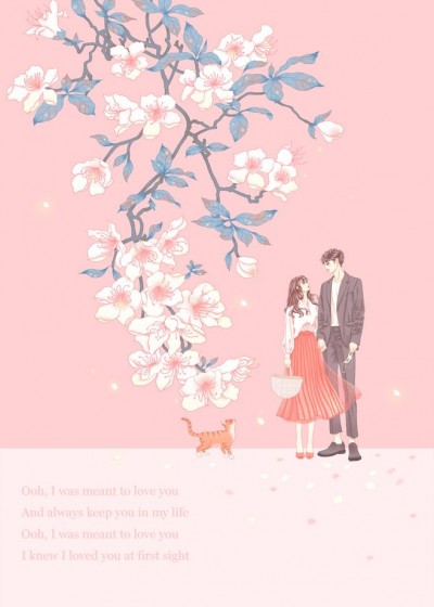 凤倾倾轩辕慕景第一次肉