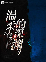 修复师苏小凡境界